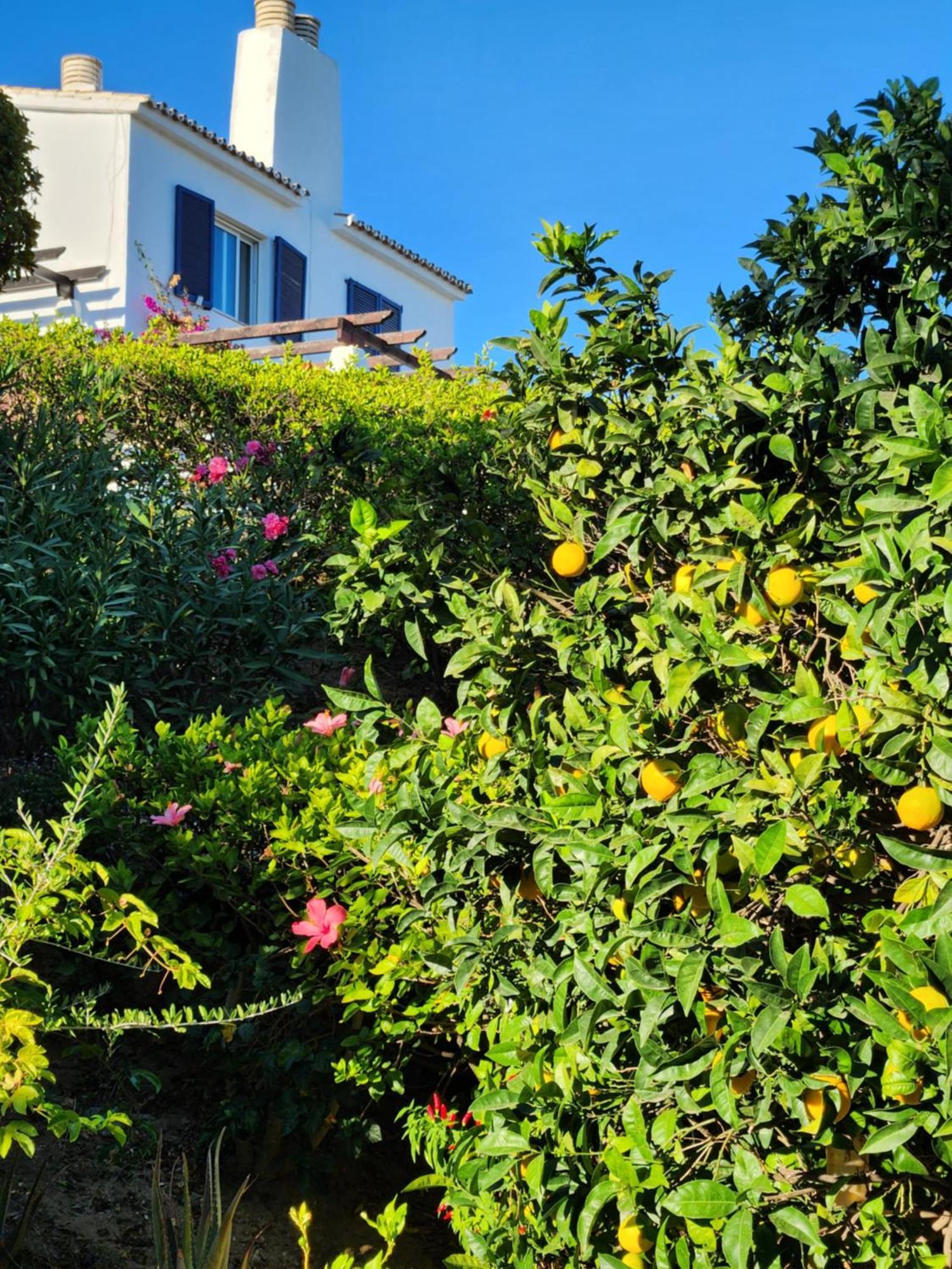 Elena Flat A Little Paradise Right On The Beach Ситио-де-Калаонда Экстерьер фото